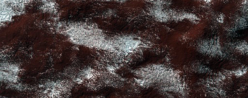 Spider Terrain
