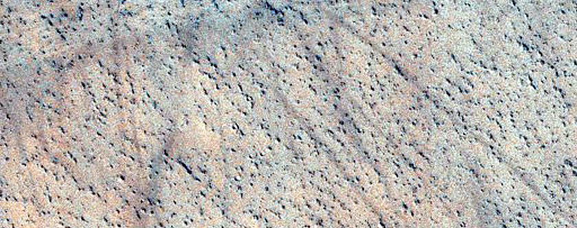Cratered Cones in Elysium Planitia

