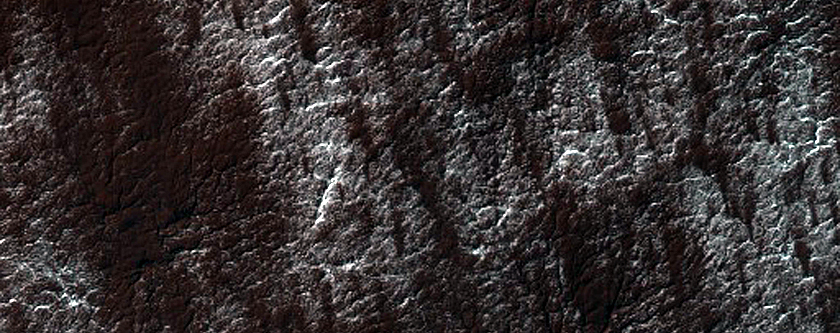 Classic Spider Terrain in Region Dubbed Manhattan
