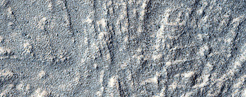 Transverse Ridges on Euripus Mons
