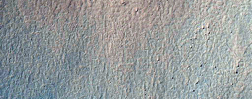 Previously Identified Gully in Crater Wall

