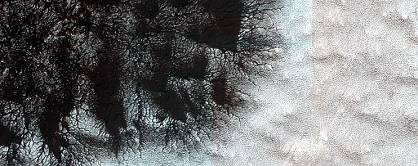 South Polar Cracked and Gullied Site

