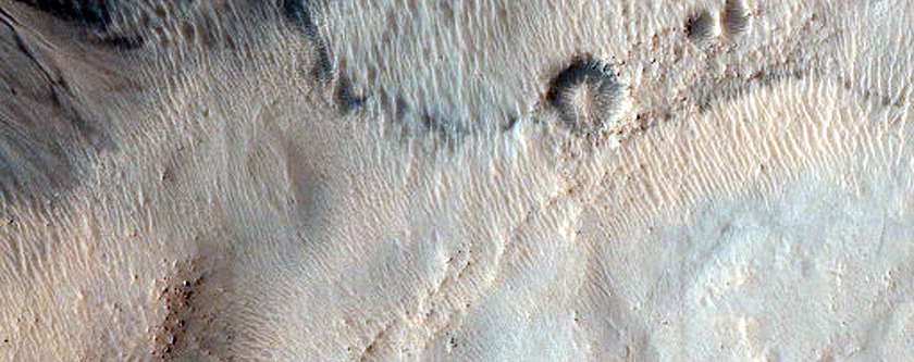 Gully Monitoring
