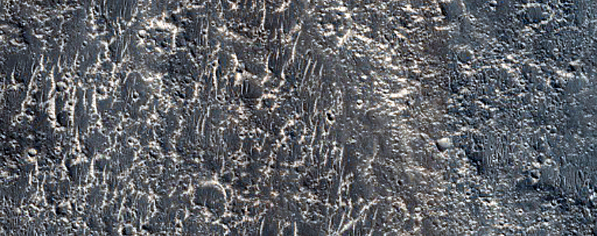 Possible Fluvial Channels in Western Aeolis Mensae
