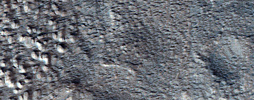 Moraine-Like Ridges Near Moreux Crater
