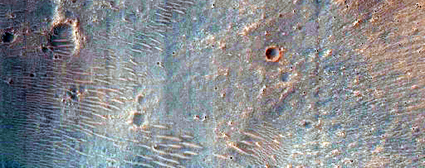 Gullied Crater
