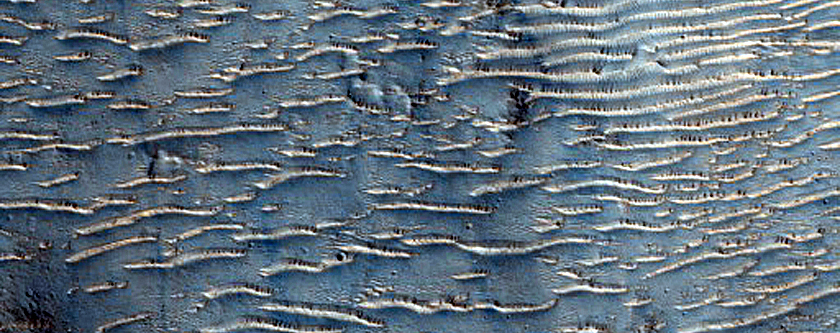 Confluence of Several Valleys West of Tinto Vallis
