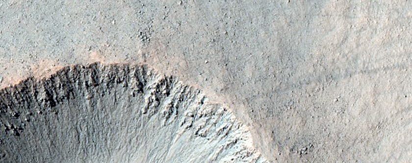 Gully Monitoring
