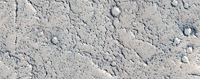 Lava Flows and Mounds in Tartarus Montes
