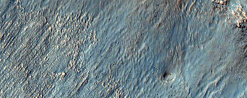 Gullies in Southern Mid-Latitude Crater
