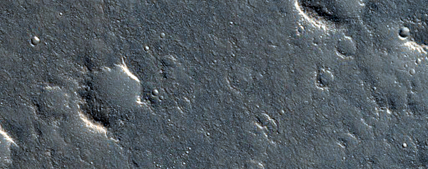 Subtle Scarp in Utopia Planitia
