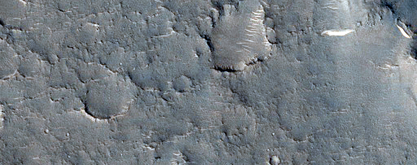 Curved Ridge in Isidis Planitia
