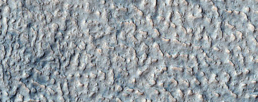 Mid-Latitude Terrain Sample
