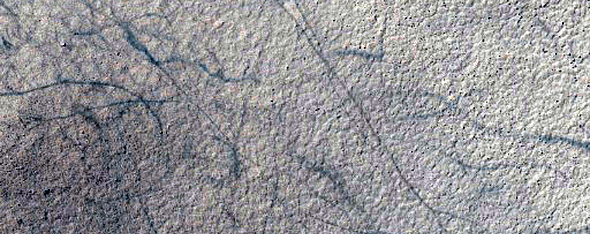 Possible Olivine-Rich Terrain in Crater Wall in Terra Sirenum
