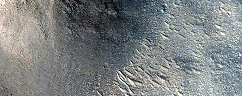 Knobs in Elysium Planitia
