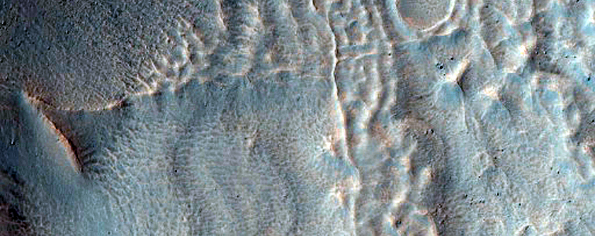 Gully Monitoring
