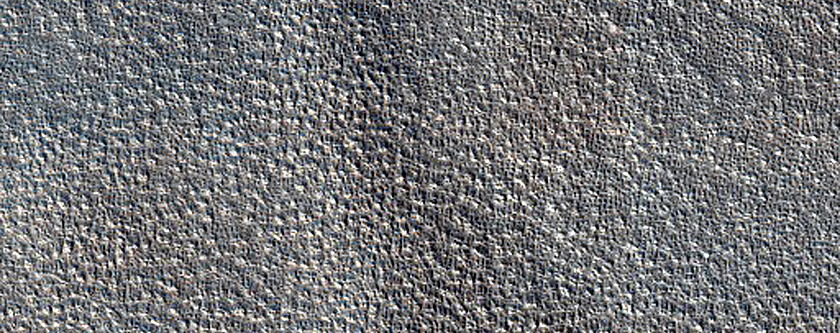 Arcadia Planitia Patterned Ground
