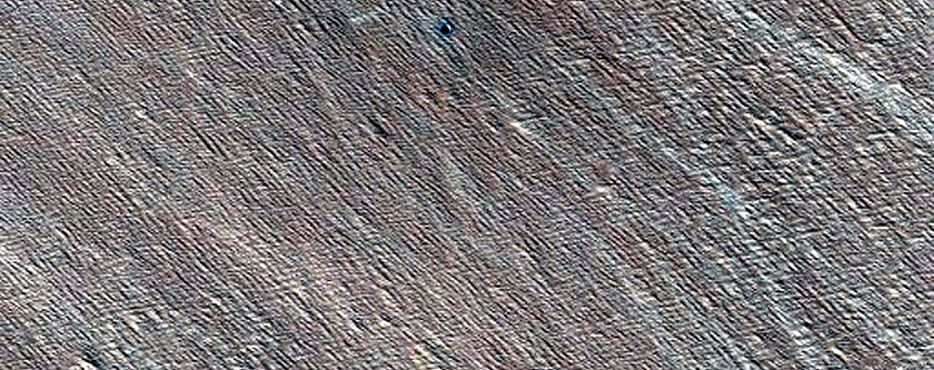 Monitoring New Impact Site
