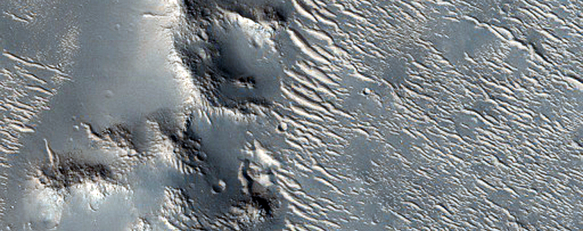 Dendritic Relief Features Near Granicus Valles
