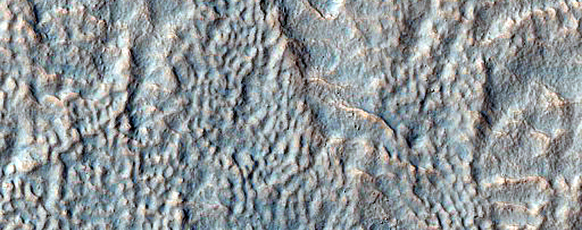 Gullies in Crater West of Newton Crater
