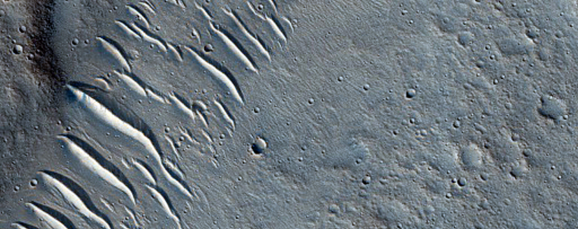 Streamlined Features
