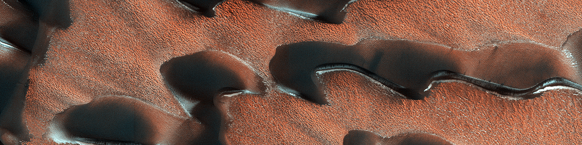 Polvere e brina nel Polo Nord di Marte