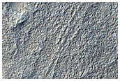 Ketens van heuveltjes in Utopia Planitia