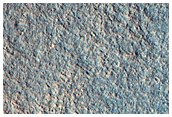 Gully Monitoring
