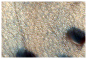 Northern Section of Dunes Dubbed South Beach
