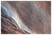 Gully Monitoring
