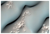 Dunes en un cràter a Tyrrhena Terra