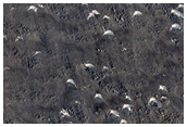 Μιά περιοχή στην Πεδιάδα της Ουτοπίας (Utopia Planitia), με κυκλικές ρηγματώσεις