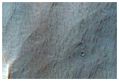 מכתש עם שקע ורכסים מעוקלים בתוך מכתש ניוקום (Newcomb)
