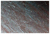 Sustained Bright Patches in North Polar Region
