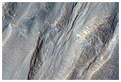 Gully Monitoring
