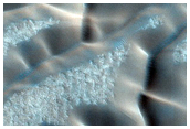 Dunes Dubbed Redondo
