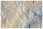 Scalloped Erosion around Circular Depression in Utopia Planitia
