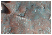 Dunes in Syrtis Major Region
