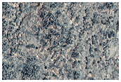 Pitted Material and Mounds in Chryse Planitia
