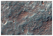 Bedrock Exposures in Highlands
