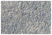 Platy-Ridged Lava
