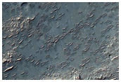 Terra Sabaea
