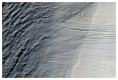 Monitor Frost in Corozal Crater
