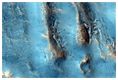 Pitted Cones in Utopia Planitia
