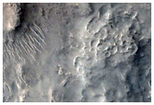 Layered Material within Small Crater in Nilosyrtis Mensae
