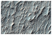 Crater Interior with Sinuous Ridges and Light-Toned Surfaces
