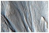 Gully Monitoring
