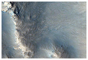 Gully Monitoring
