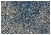Defrosting Near Icy Crater
