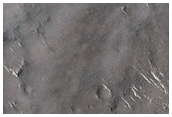 Fresh Crater in Isidis Planitia
